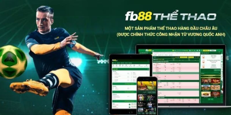 Giới thiệu trang web đặt cược bóng đá uy tín số 1 FB88