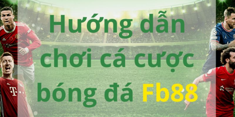 Hướng dẫn chơi cá độ thể thao tại nhà cái FB88