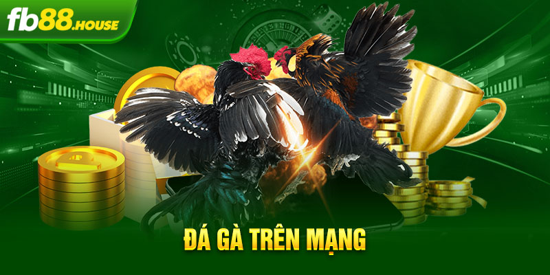 đá gà trên mạng