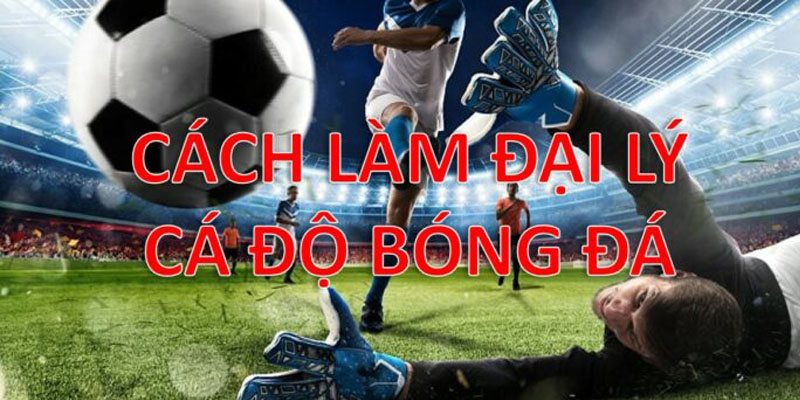 Gợi ý cách trở thành đại lý chính thống với nhiều quyền lợi